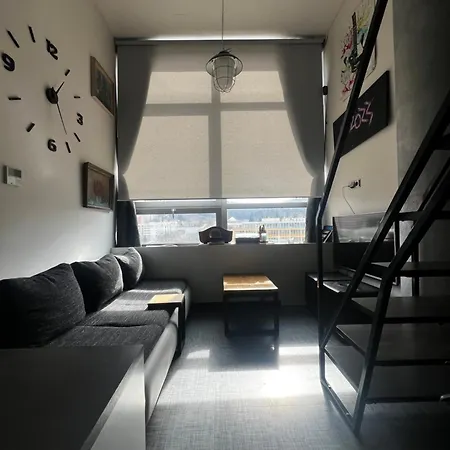 アパート 1 Bedroom Loft *