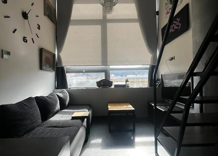 アパート 1 Bedroom Loft *
